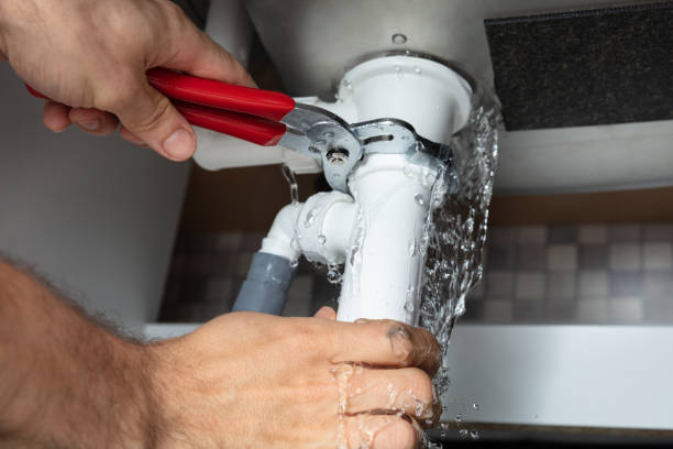 Best Sewage cleanup and water damage restoration  in Spring Valley, AZ