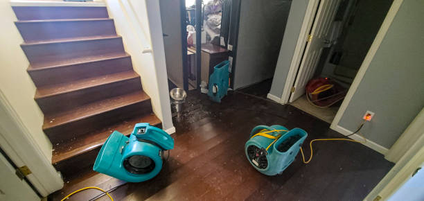 Water damage restoration experts in Spring Valley, AZ