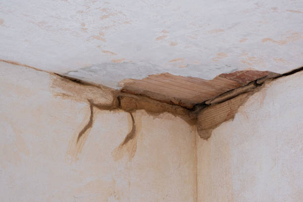 Best Ceiling water damage repair  in Spring Valley, AZ