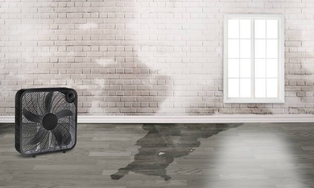 Sewage cleanup and water damage restoration in Spring Valley, AZ