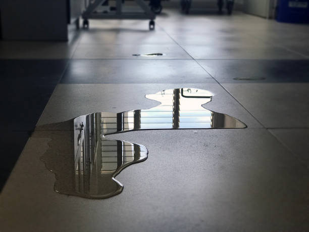 Best Water damage restoration specialists  in Spring Valley, AZ