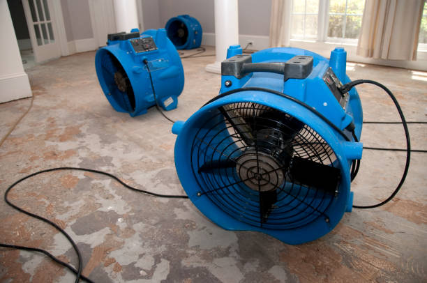 Best Carpet water damage restoration  in Spring Valley, AZ