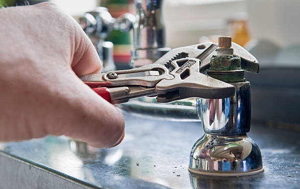 Best Mold removal after water damage  in Spring Valley, AZ
