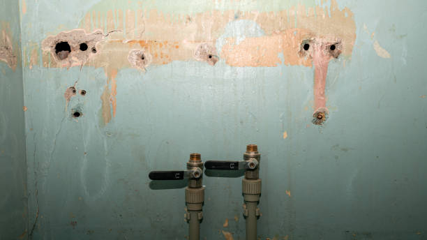 Best Water damage restoration near me  in Spring Valley, AZ