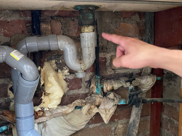 Best Fire Damage Restoration  in Spring Valley, AZ